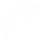 bullet